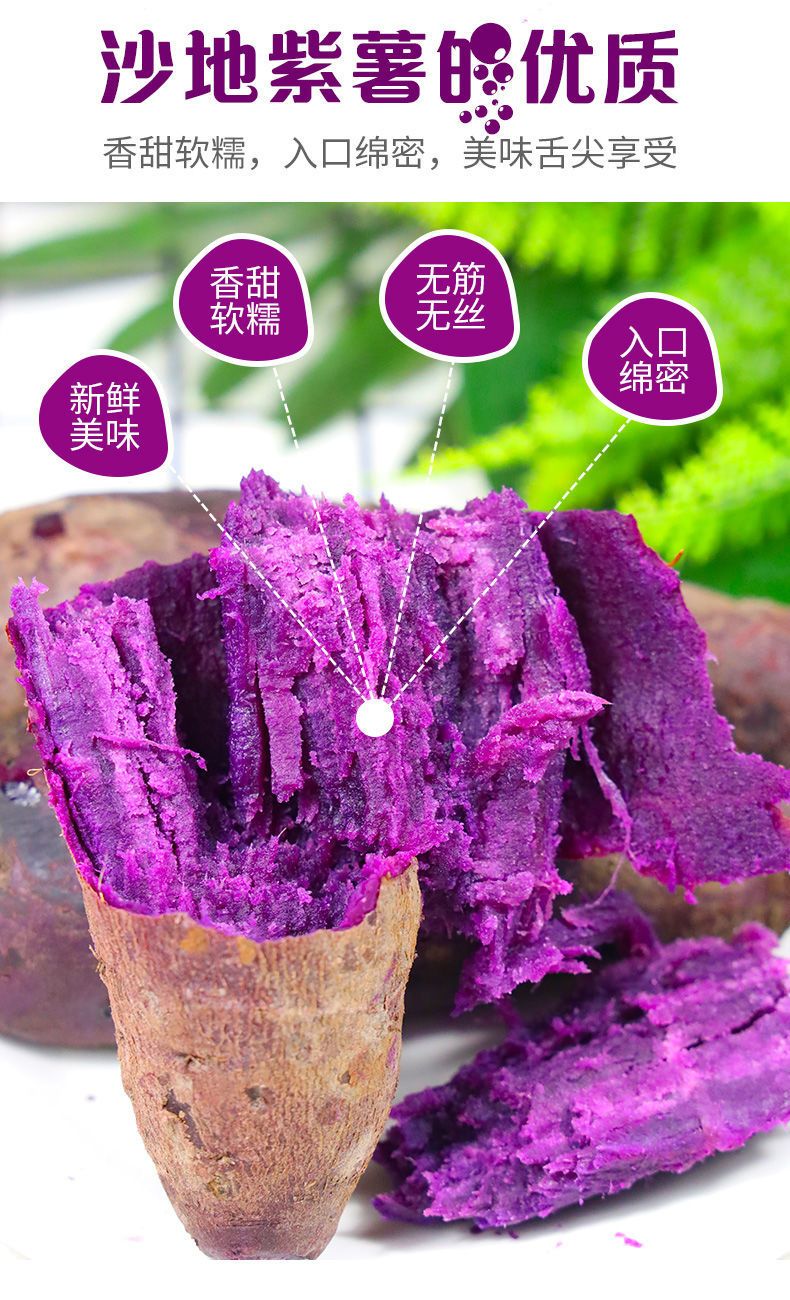【正宗紫薯】新鲜沙地紫薯番薯粉糯香甜板栗红薯地瓜蜜薯蔬菜批发