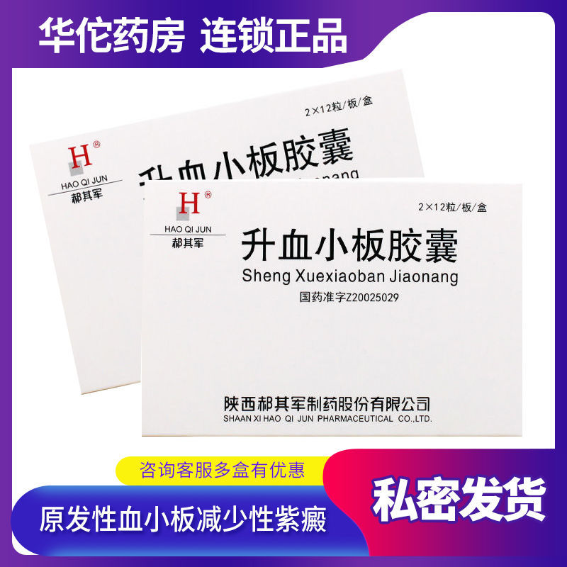 45g*24粒/盒 清热解毒凉血止血散淤消斑用于原发性小血板减少性紫癜