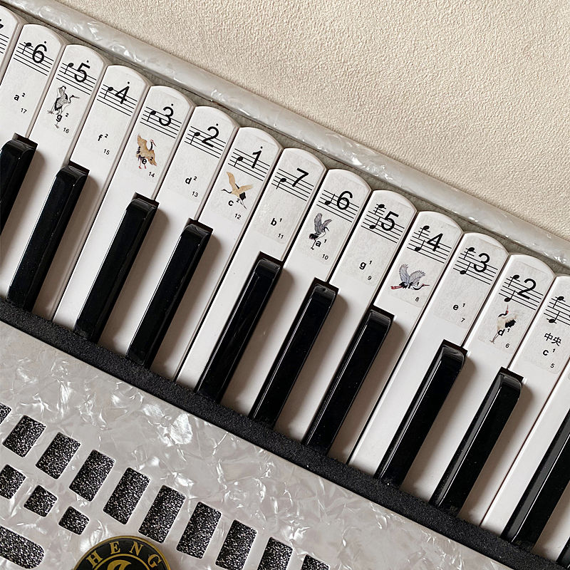 手风琴键盘贴纸8/60/120贝斯 初学入门简谱五线谱琴键按键贴