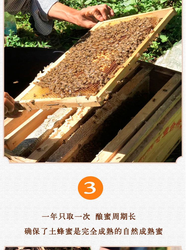 蜂蜜2斤结晶土蜂蜜【源头蜂场直销】然野生态1斤百花土蜂蜜