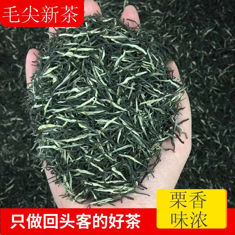 毛尖茶叶嫩芽叶新茶500g湖北宜昌特产高档特级浓香型五峰芽毛尖