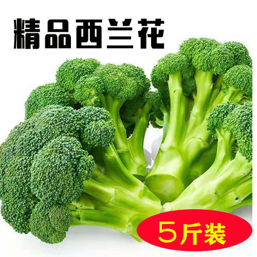 【精品】新鲜西兰花西蓝花花菜批发减脂菜花青菜蔬菜大全新鲜蔬菜