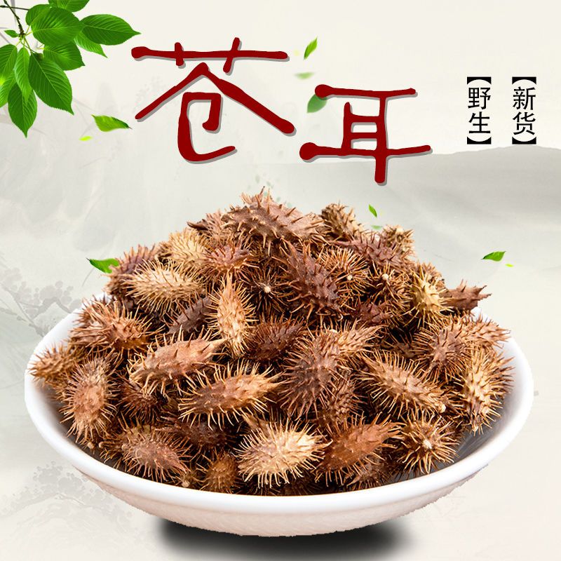 野生苍耳子成熟带刺苍耳草种子中药苍耳子无硫炒苍耳子鼻油治鼻炎