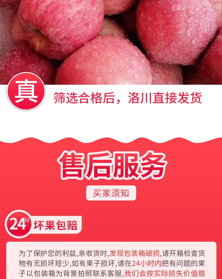 【顺丰包邮】王掌柜陕西洛川苹果红富士水果新鲜10/5斤礼盒