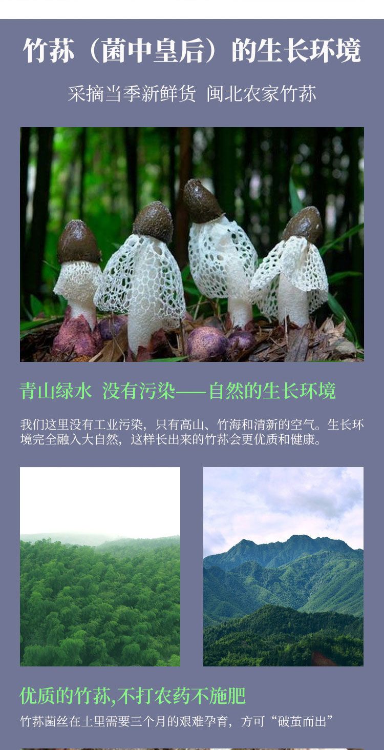 春之言  竹荪干货250/500g特级野生天然无硫竹笙自产自销食用菌菇特产新货