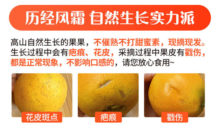 【精品】中华红橙血橙湖北秭归脐橙新鲜橙子水果当季孕妇非塔罗科