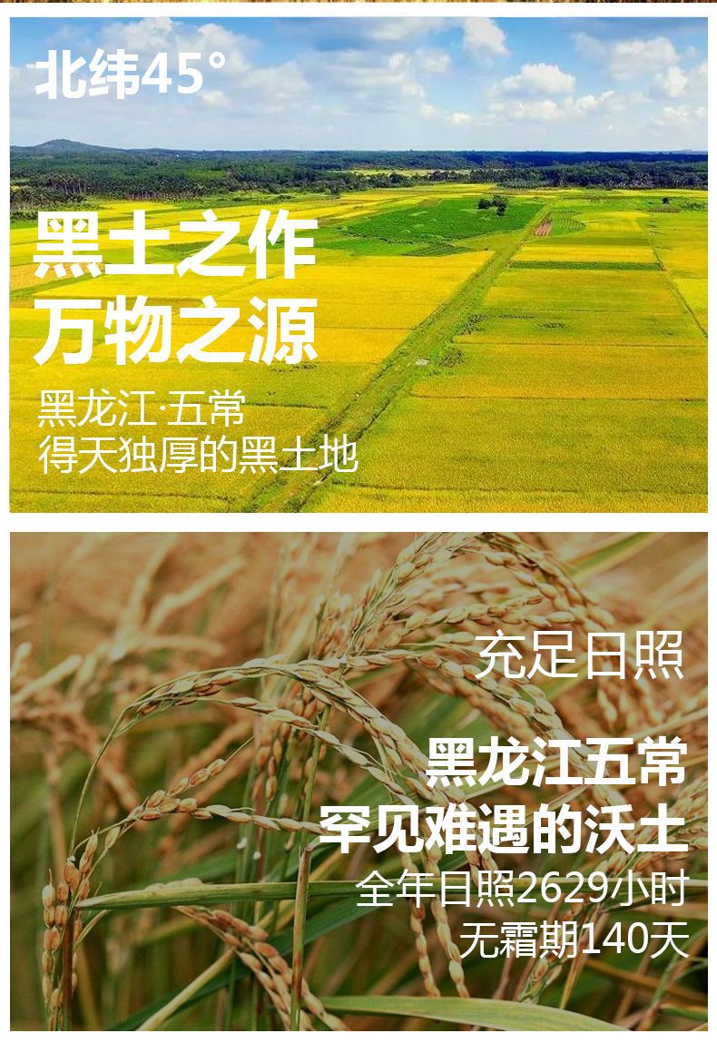  大米东北大米五常大米批发10斤大米批发20斤装稻花香大米新米批发