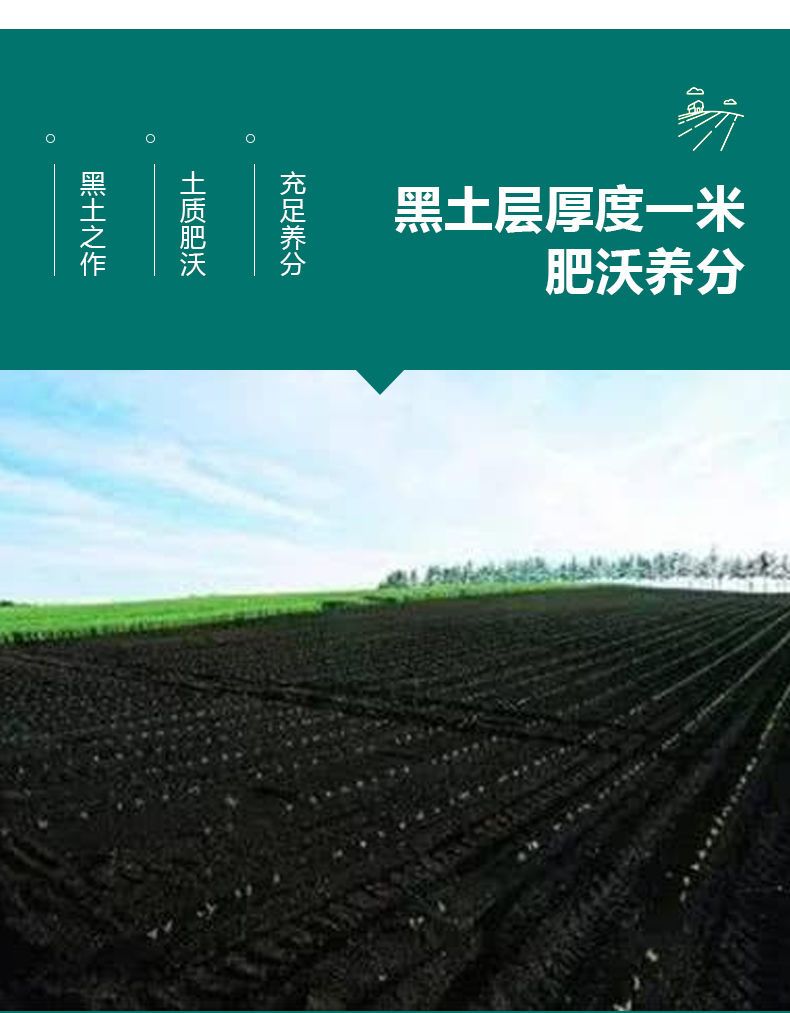  大米东北大米五常大米批发10斤大米批发20斤装稻花香大米新米批发