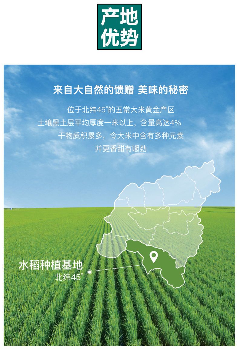  大米东北大米五常大米批发10斤大米批发20斤装稻花香大米新米批发