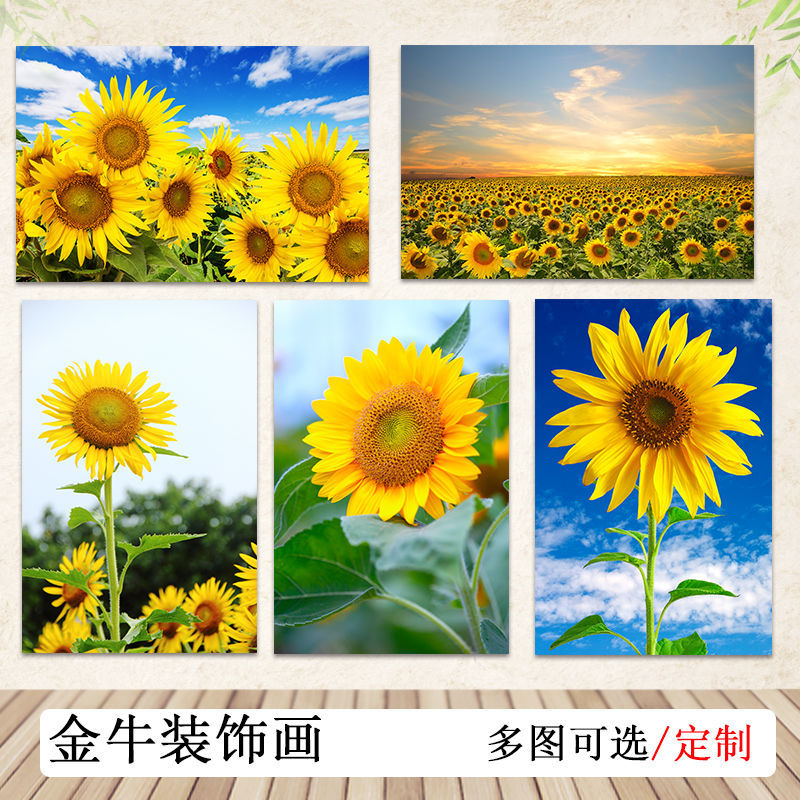 向日葵海报太阳花向阳花房间贴墙画壁纸画芯风景画心装饰画贴画