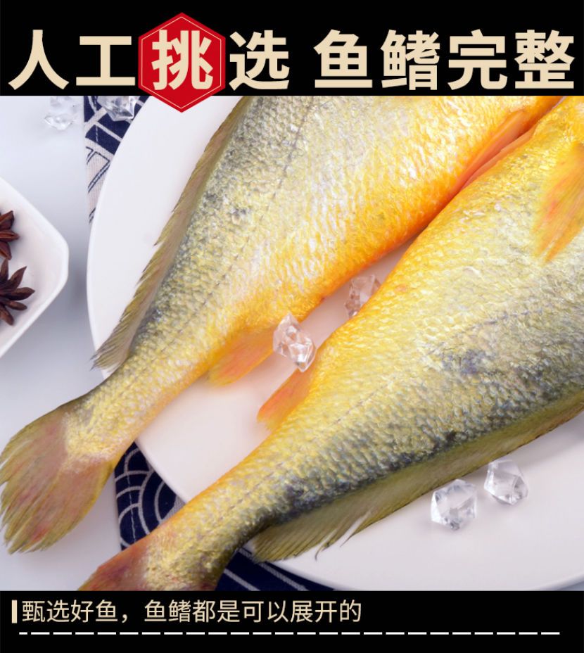 怎样挑选黄花鱼比较新鲜的 32ccb54e-c0bf-4bb0-a453-c057fab1e52e.jpeg.a.jpeg