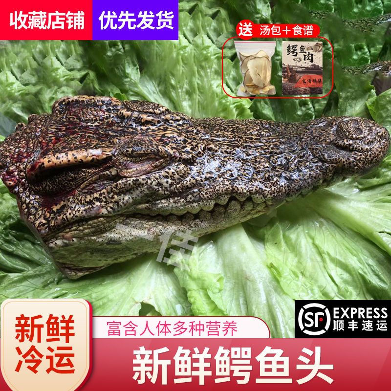 新鲜鳄鱼头 带皮肉 现杀鳄鱼 人工养殖鳄鱼 新鲜肉类 顺丰包邮