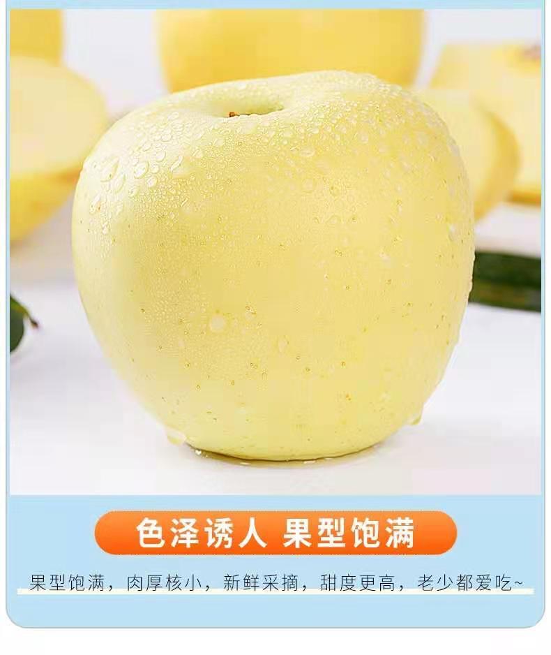 【脆甜多汁】烟台奶油富士苹果水果新鲜牛奶黄金白冰糖心平果元帅