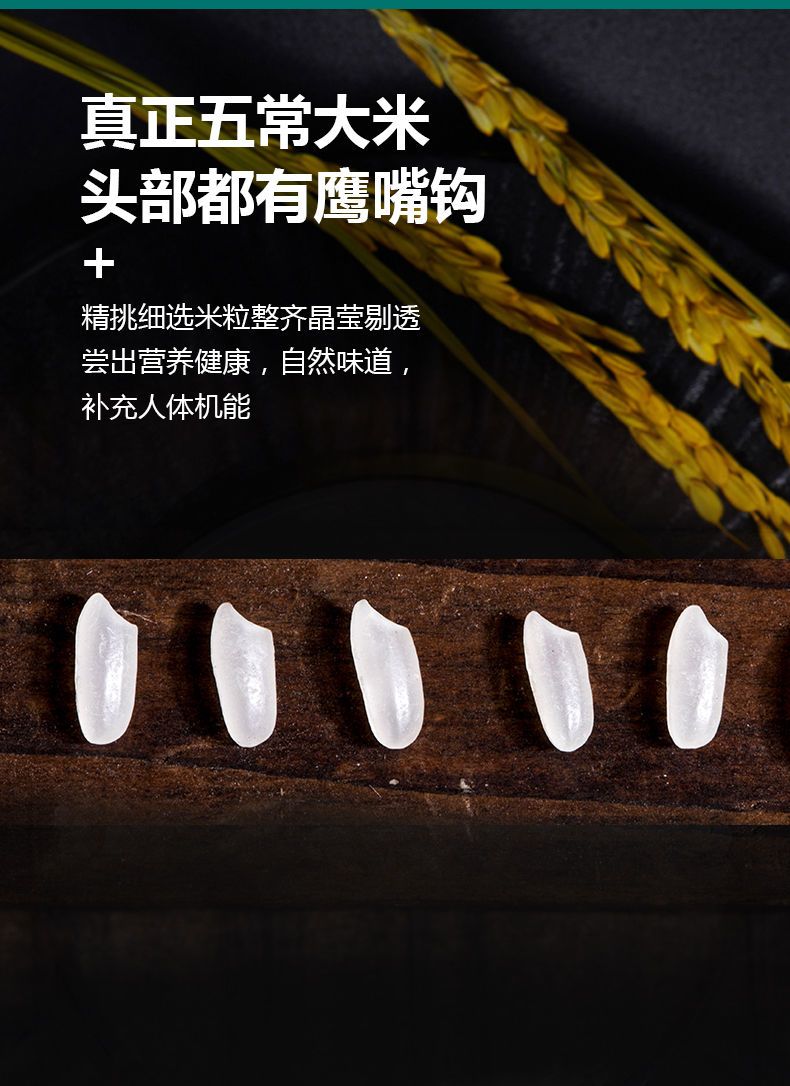  大米东北大米五常大米批发10斤大米批发20斤装稻花香大米新米批发