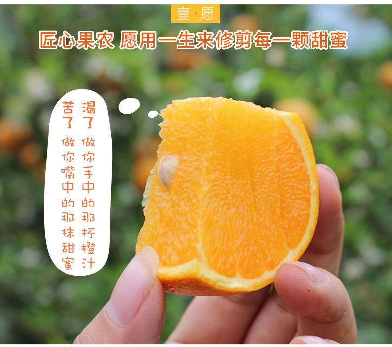 【精品】正宗赣南脐橙江西橙子新鲜水果孕妇手剥橙应季甜脐橙批发