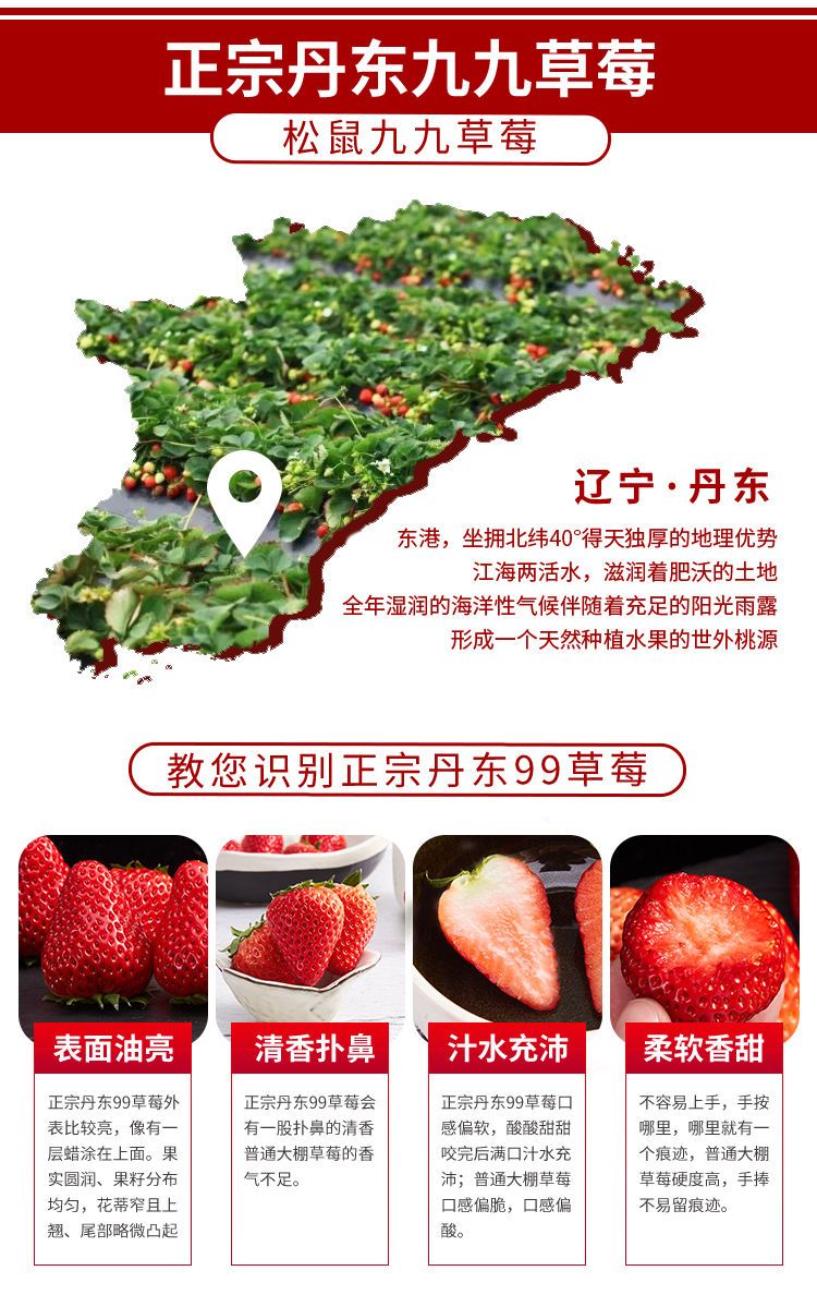 【现货大果】丹东99草莓新鲜红颜大草莓礼盒九九牛奶孕妇水果