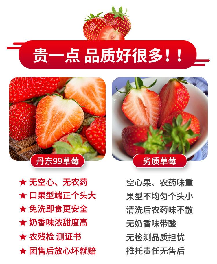【现货大果】丹东99草莓新鲜红颜大草莓礼盒九九牛奶孕妇水果