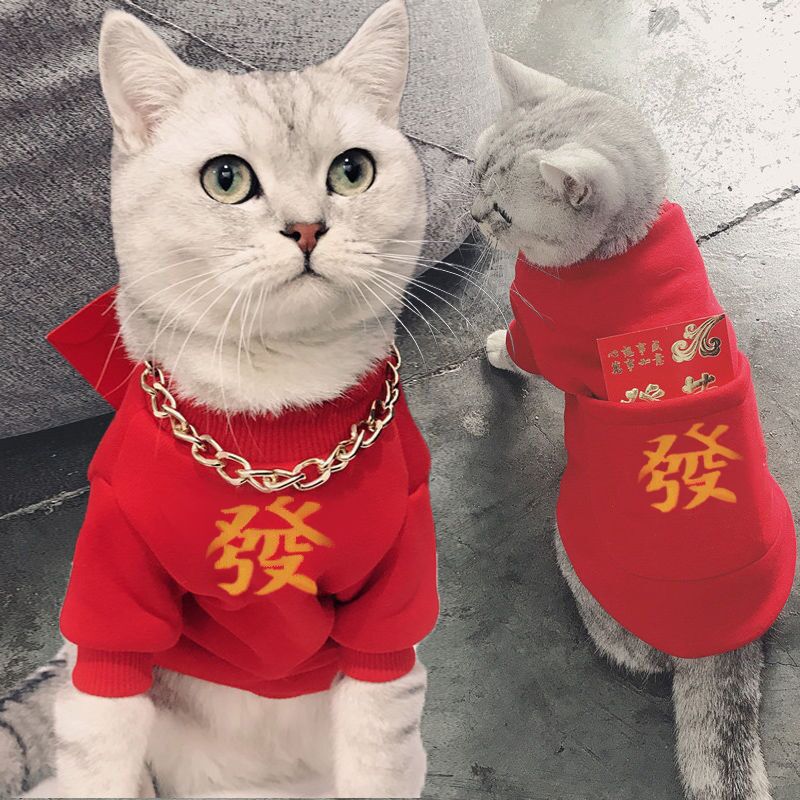 Cat clothes new year clothes pet dog new year clothes rabbit clothes warm British short blue cat hairless cat clothes