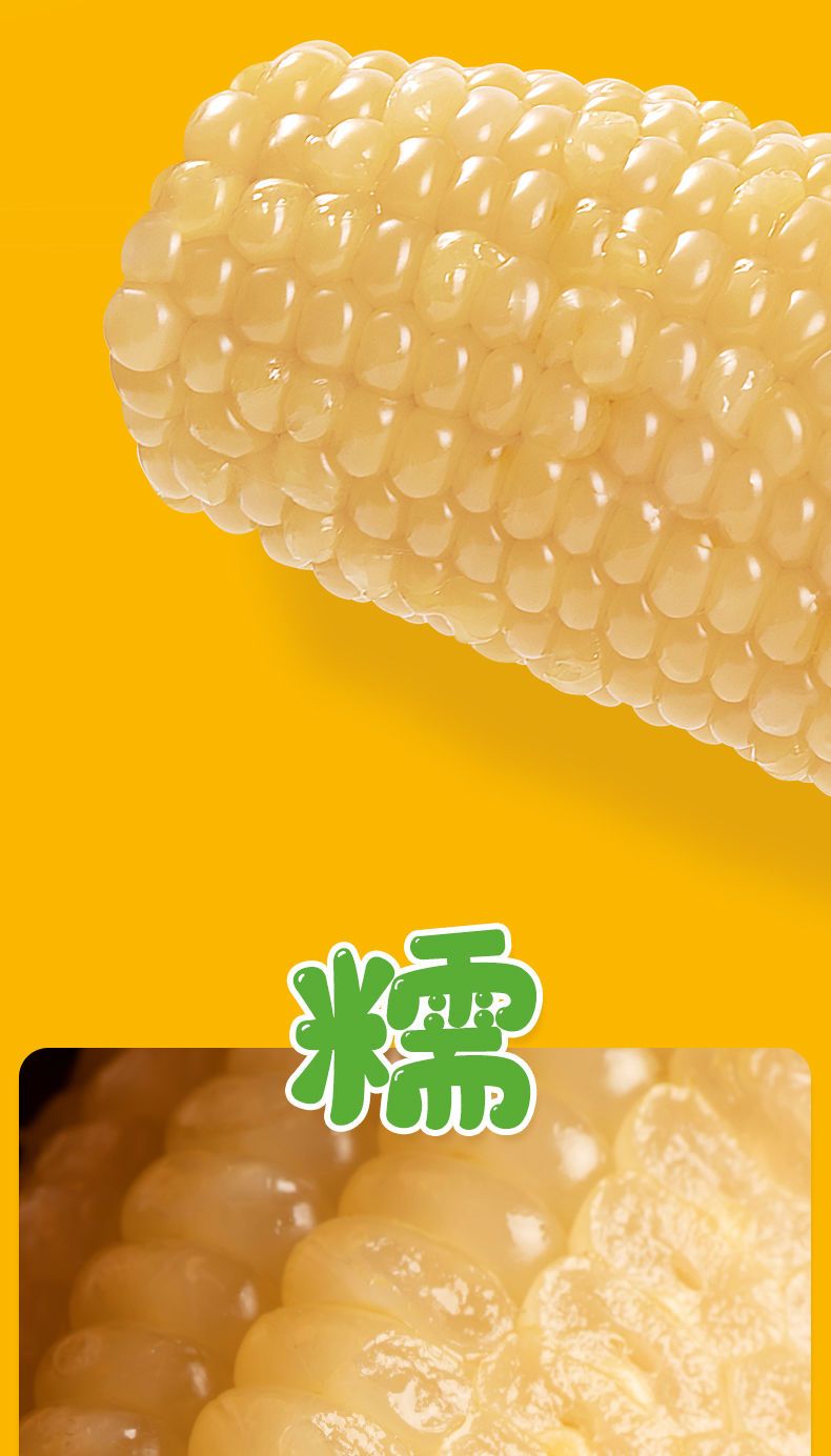 龙觇 东北白糯玉米甜糯粘玉米棒真空装包非转基因新鲜粗粮代餐即食玉米