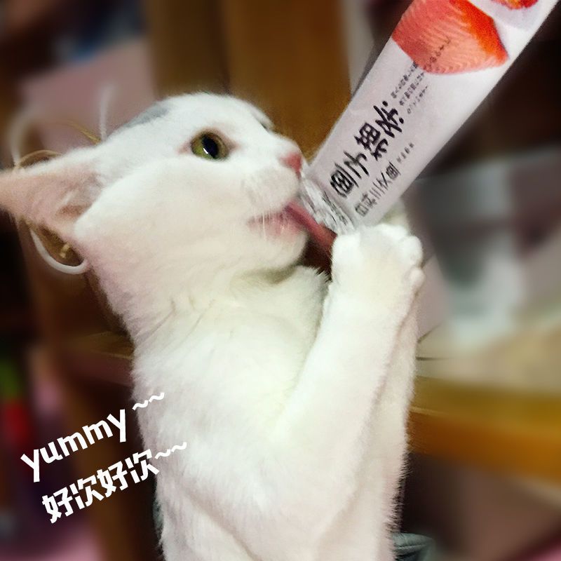 Nervous cat snacks roe cat strips kitten adult cat canned small fish dried pet wonderful fresh nutrition wet food package