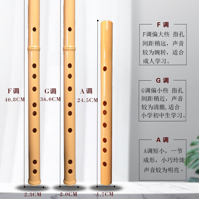 竖笛乐器6孔成人初学入门小学生儿童小a/g/f专业演奏直六孔短笛子