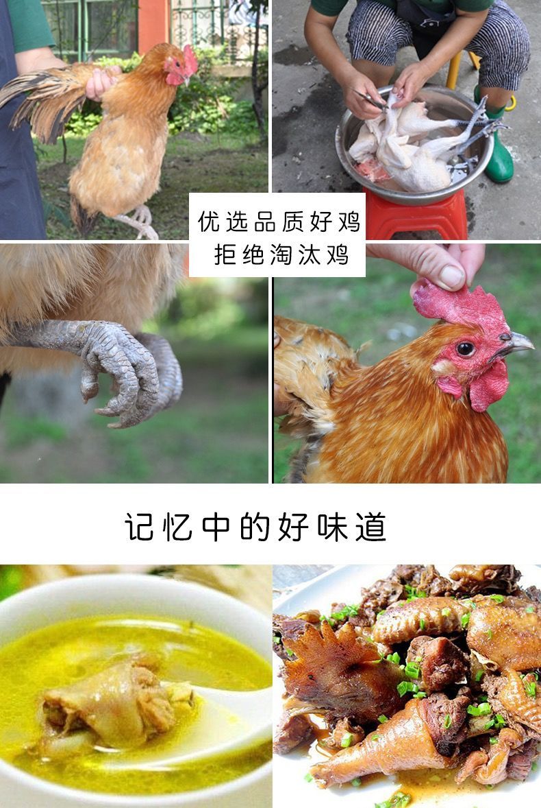 山东大公鸡农家散养新鲜鸡肉现杀土鸡公鸡纯粮喂养整鸡笨柴鸡草鸡