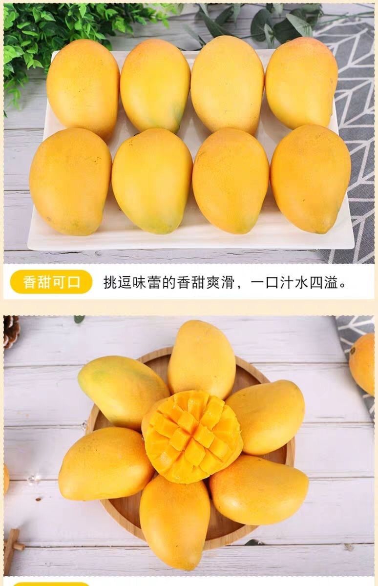 【爆甜】海南小台芒10/5/2斤新鲜水果台农芒果应季小芒果整箱批发
