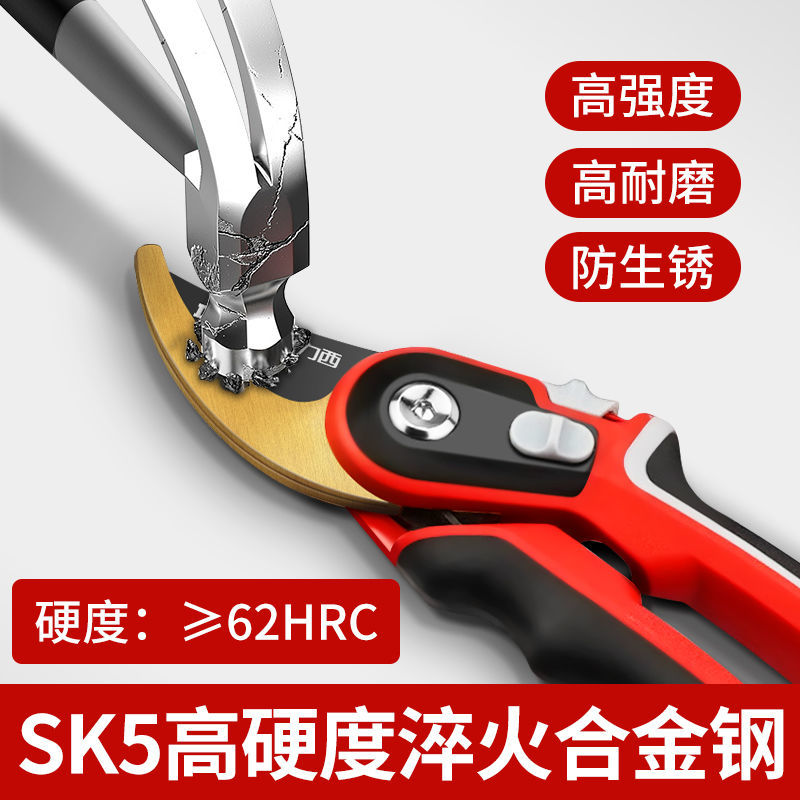 88578-德力西园林剪省力修枝剪刀剪树枝园艺剪刀果树粗枝剪花艺剪绿化剪-详情图