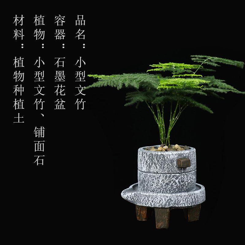 组合盆栽创意迷你六月雪文竹罗汉松鸭脚木室内办公桌摆好养微绿植 虎窝拼