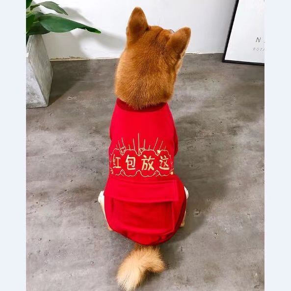 柴犬冬款新年红色喜庆衣服加绒柯基小型中型犬过年装泰迪犬拜年服