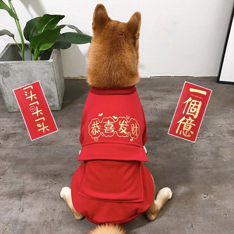 柴犬冬款新年红色喜庆衣服加绒柯基小型中型犬过年装泰迪犬拜年服