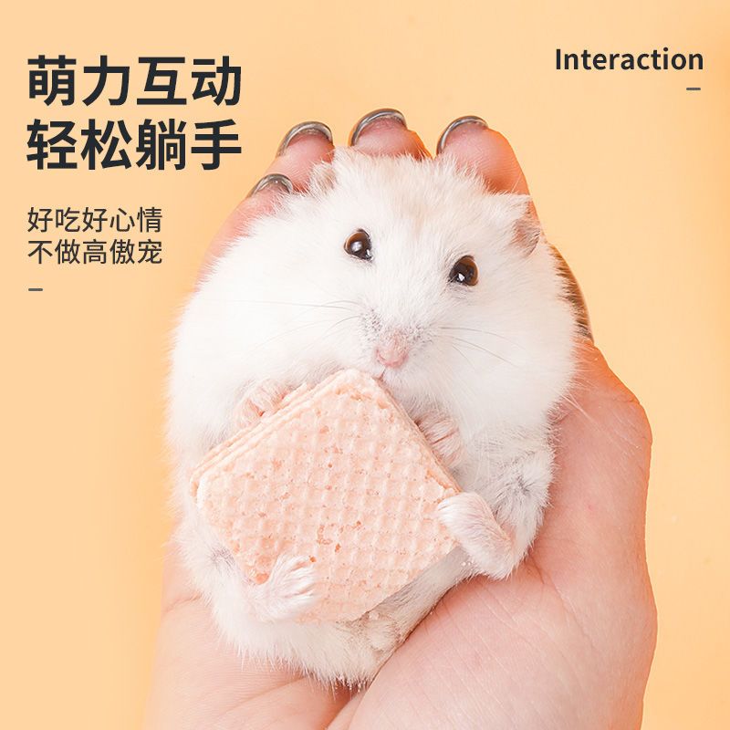 Pet Shangtian Hamster Snack Wafer Biscuit Golden Bear Molar Stick Supplies Grain Fruit Strawberry