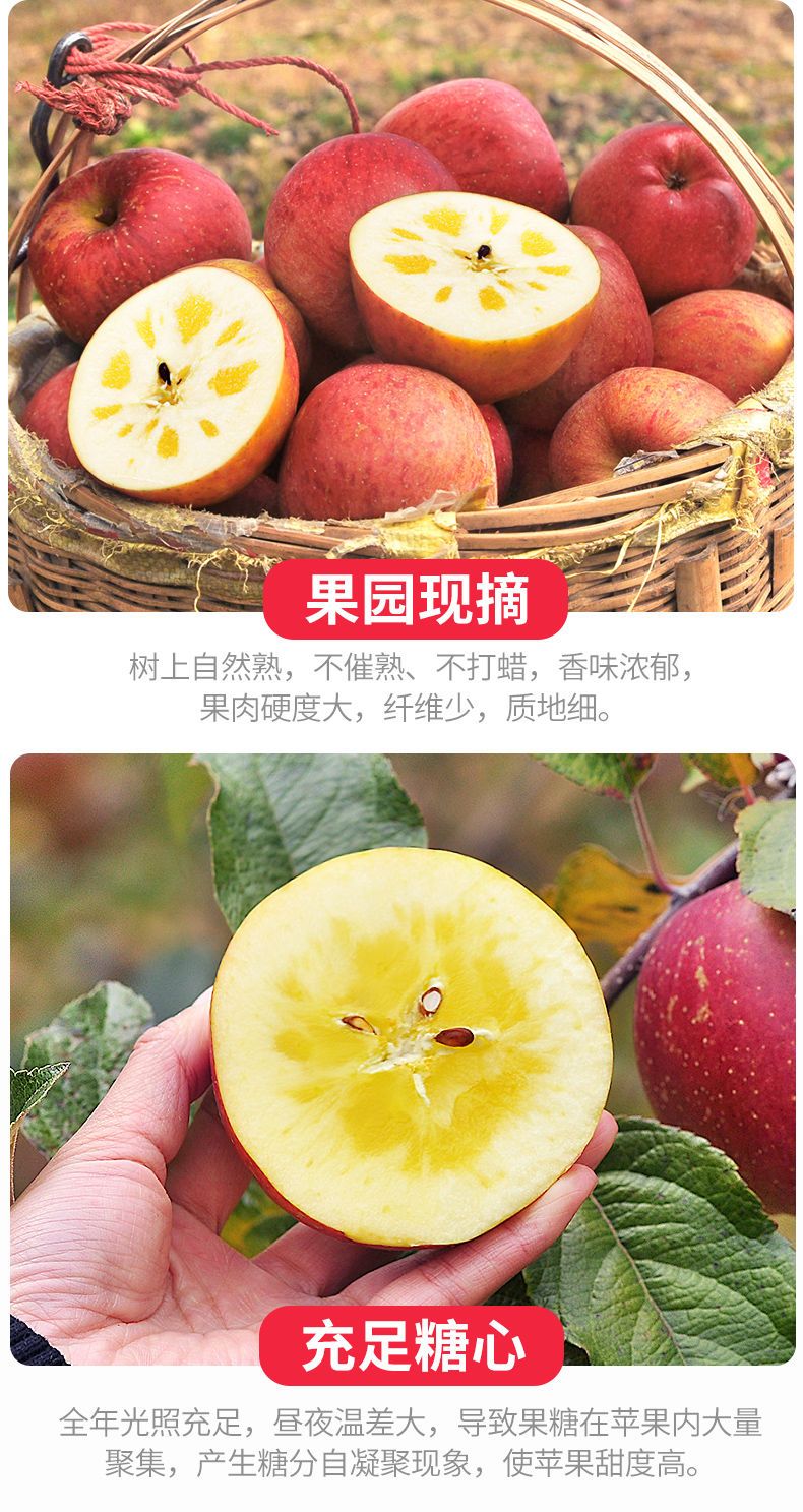 【新疆阿克苏冰糖心】红富士苹果水果新鲜脆甜整箱批发5斤10斤3斤