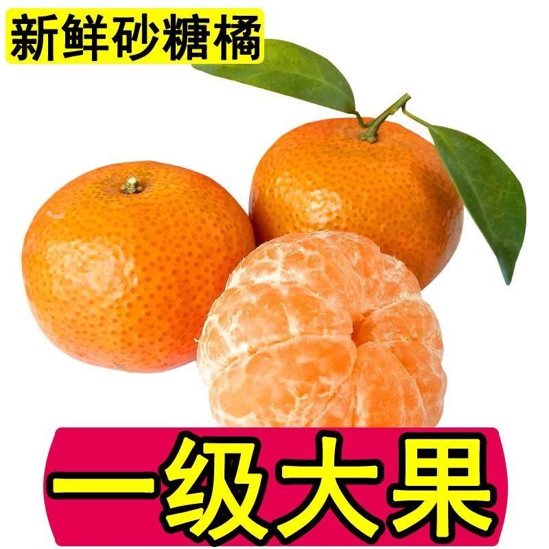 106129-【超低价】正宗广西沙糖桔超甜3-10斤砂糖橘新鲜橘子水果桔子沃柑-详情图