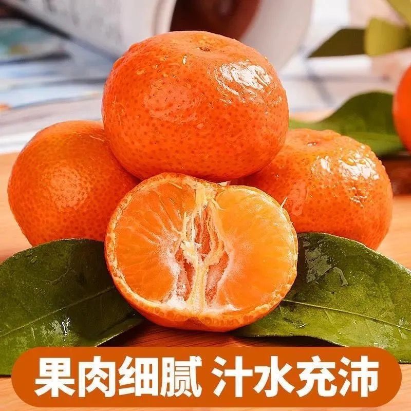 106129-【超低价】正宗广西沙糖桔超甜3-10斤砂糖橘新鲜橘子水果桔子沃柑-详情图