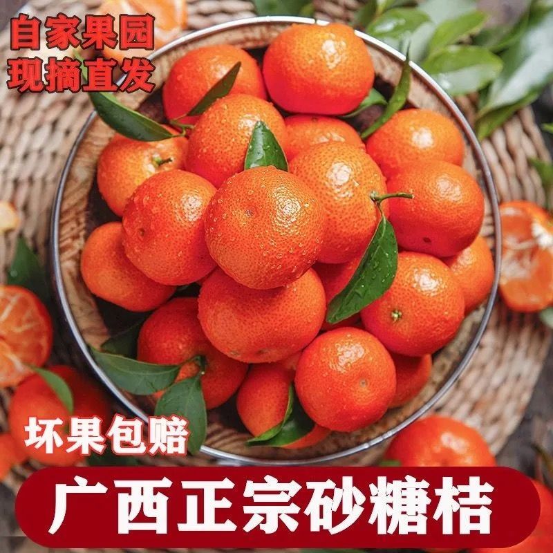 106129-【超低价】正宗广西沙糖桔超甜3-10斤砂糖橘新鲜橘子水果桔子沃柑-详情图