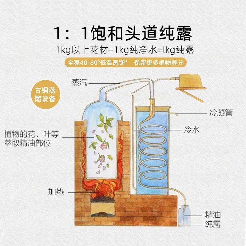 茶树纯露玫瑰纯露天然控油去痘清爽清洁毛孔爽肤水平衡净肤花水