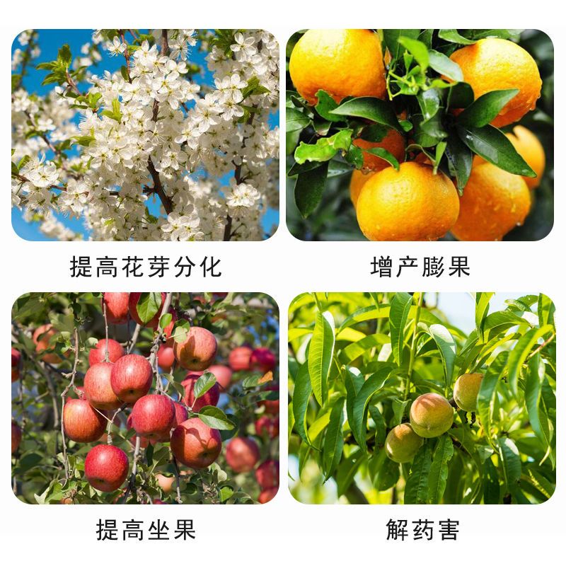 赤霉素920赤霉酸催芽剂920溶液植物调节剂包邮浸种授粉保花拉长