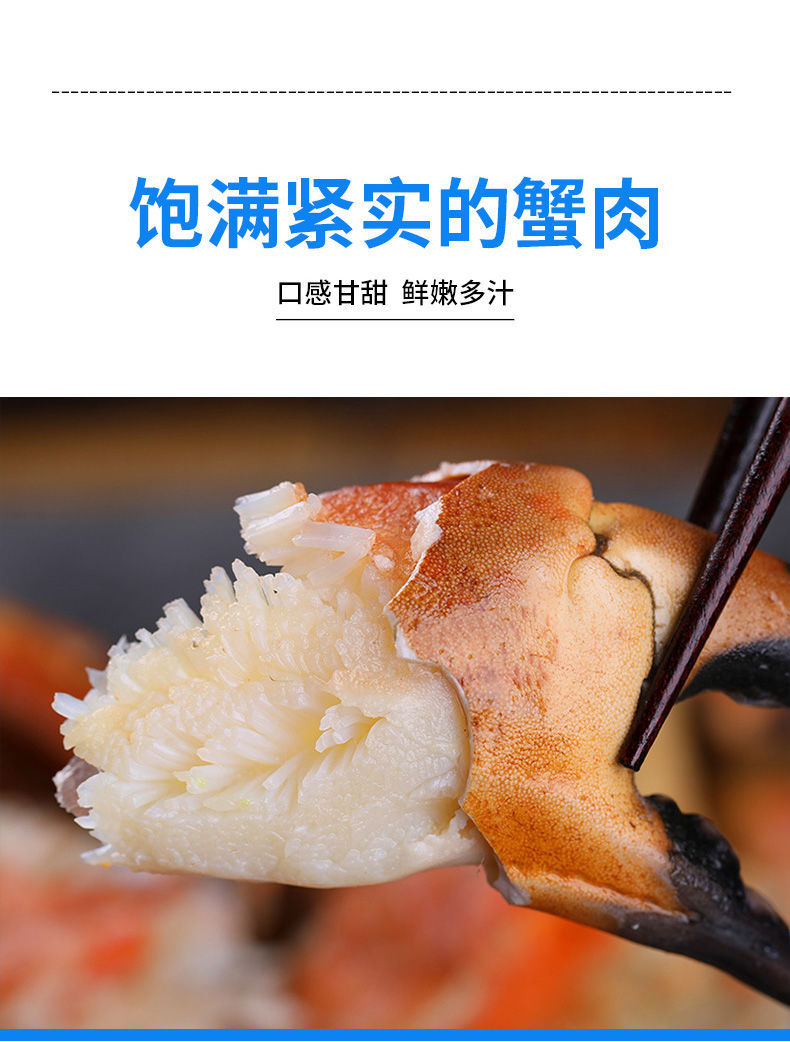【个个带黄】新鲜面包蟹鲜活熟冻超大黄金蟹蟹即食珍宝蟹海蟹海鲜