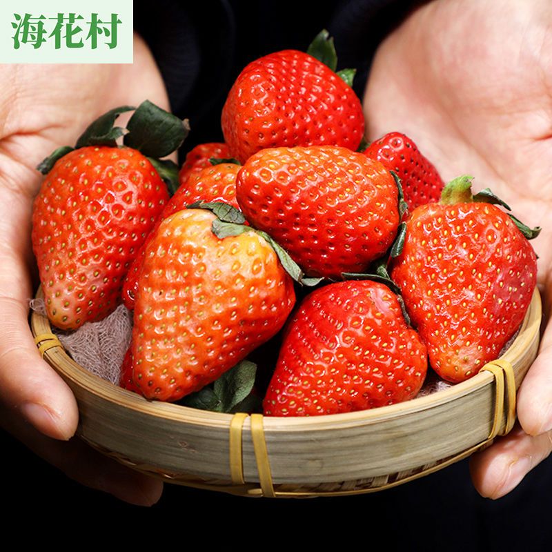 125965-【新鲜草莓】现摘现发红颜草莓应急水果孕妇产地直发包邮整箱批发-详情图