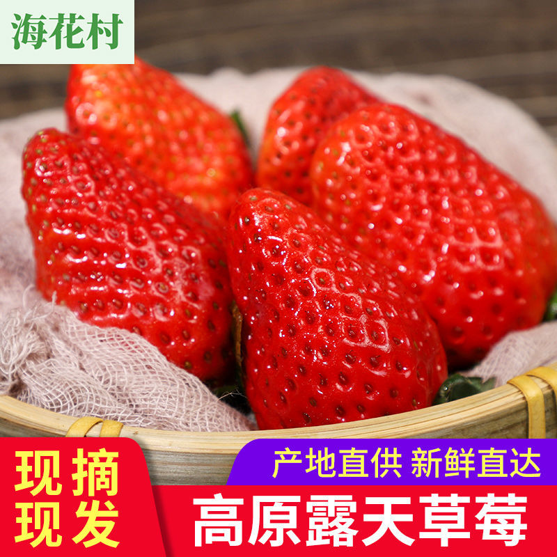 125965-【新鲜草莓】现摘现发红颜草莓应急水果孕妇产地直发包邮整箱批发-详情图