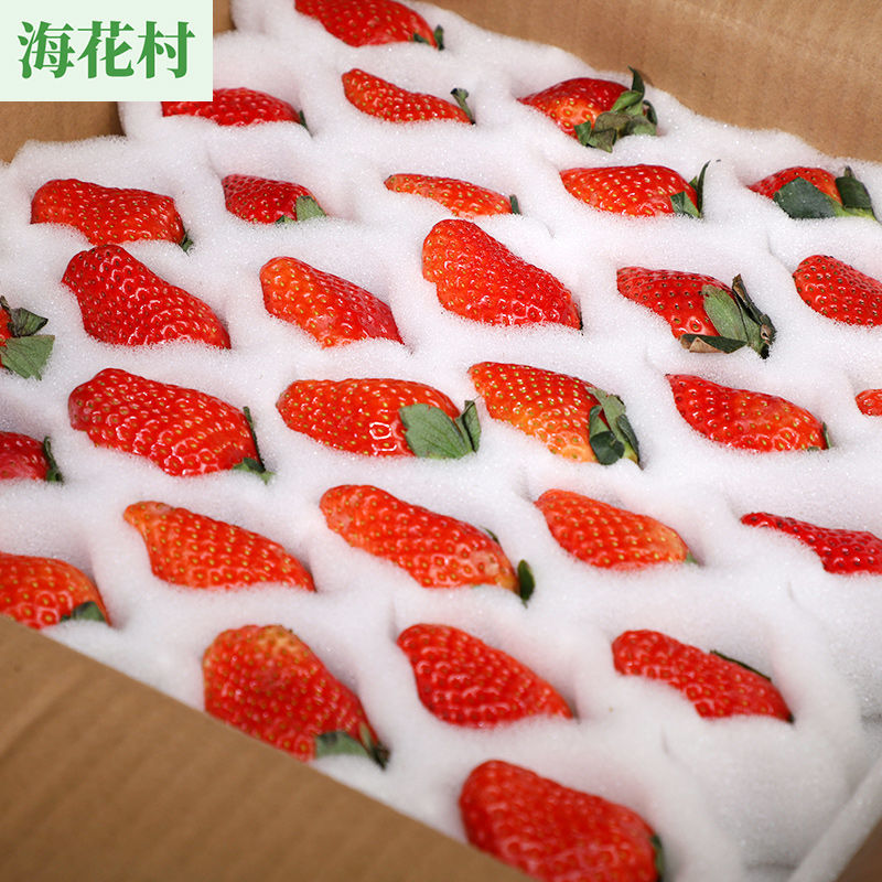 125965-【新鲜草莓】现摘现发红颜草莓应急水果孕妇产地直发包邮整箱批发-详情图