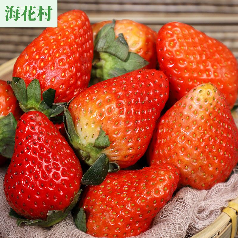 125965-【新鲜草莓】现摘现发红颜草莓应急水果孕妇产地直发包邮整箱批发-详情图