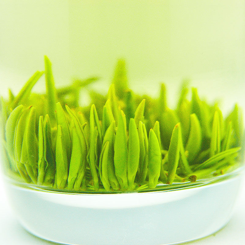 雀舌茶叶绿茶2022新茶四川峨眉山嫩芽全芽头特级散装高山毛尖竹叶