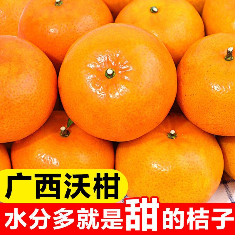 武鸣沃柑是橘子类还是橙子类(武鸣沃柑为什么出名)