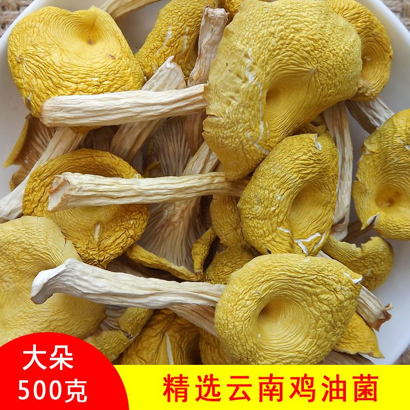 鸡油菌干货500g黄丝菌干鸡油黄鸡油蘑鸡蛋黄菌云南特产菌菇