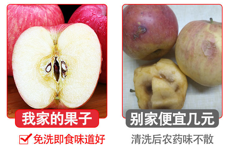 山东烟台栖霞红富士苹果脆甜新鲜水果一特级批发整箱5/10斤丑平果