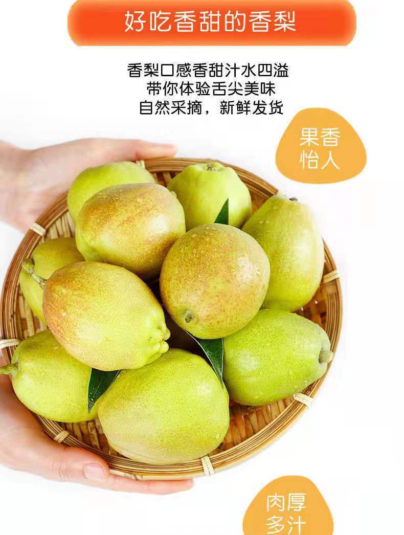 新疆库尔勒香梨新鲜水果应季梨子整箱5/10斤批孕妇吃的薄皮香酥梨