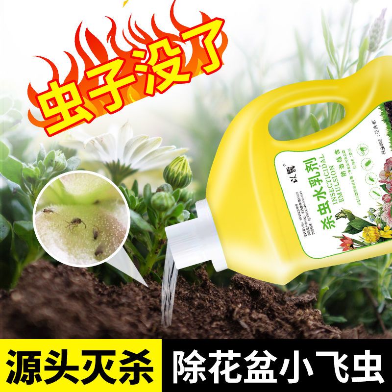 土壤杀虫剂花卉植物多肉通用花药小黑飞蚧壳虫蚜虫家用盆栽杀虫药 以露旗舰店