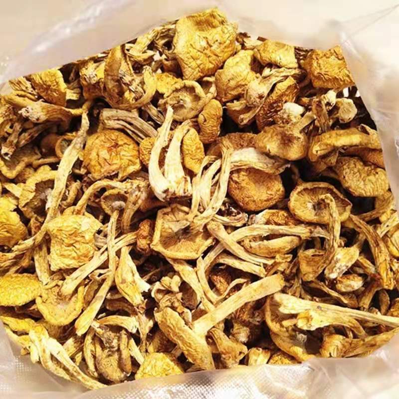 谷耘滇 东北新货滑子菇干货袋装小黄蘑香菇类顺滑无熏硫